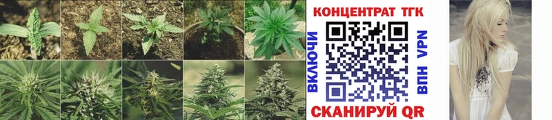 закладки  Кашин  Дистиллят ТГК вейп с тгк 