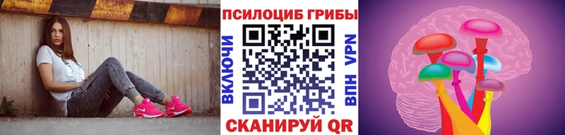 кракен ссылки  это наркотические препараты  Галлюциногенные грибы мухоморы  наркошоп  Кашин 